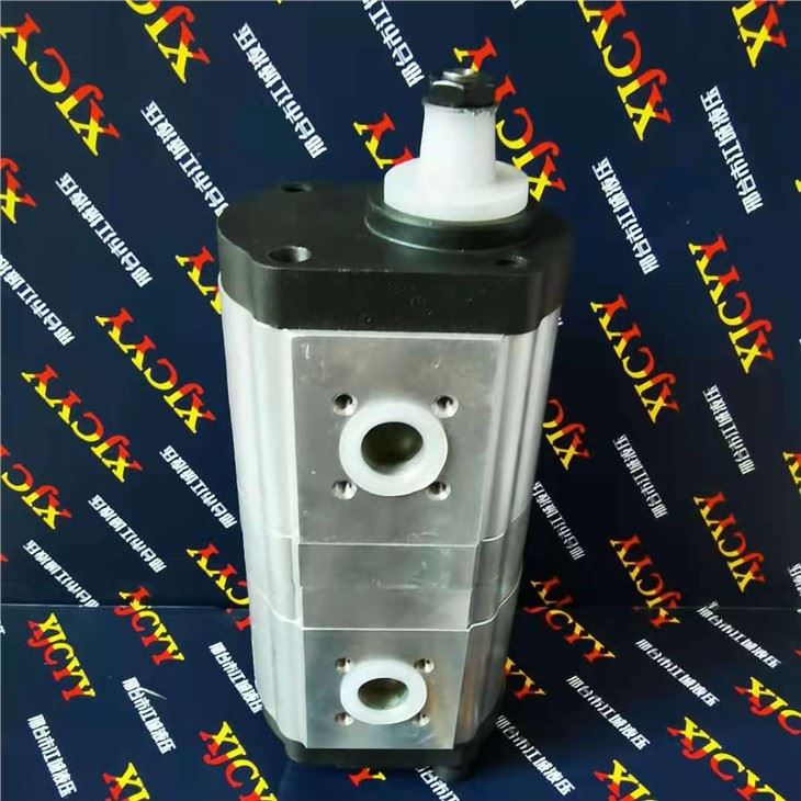 CASE IH Pump 0510465321