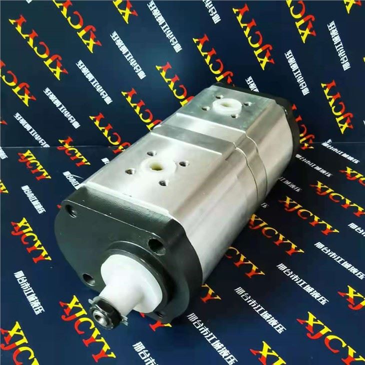 CASE IH Pump 0510465321