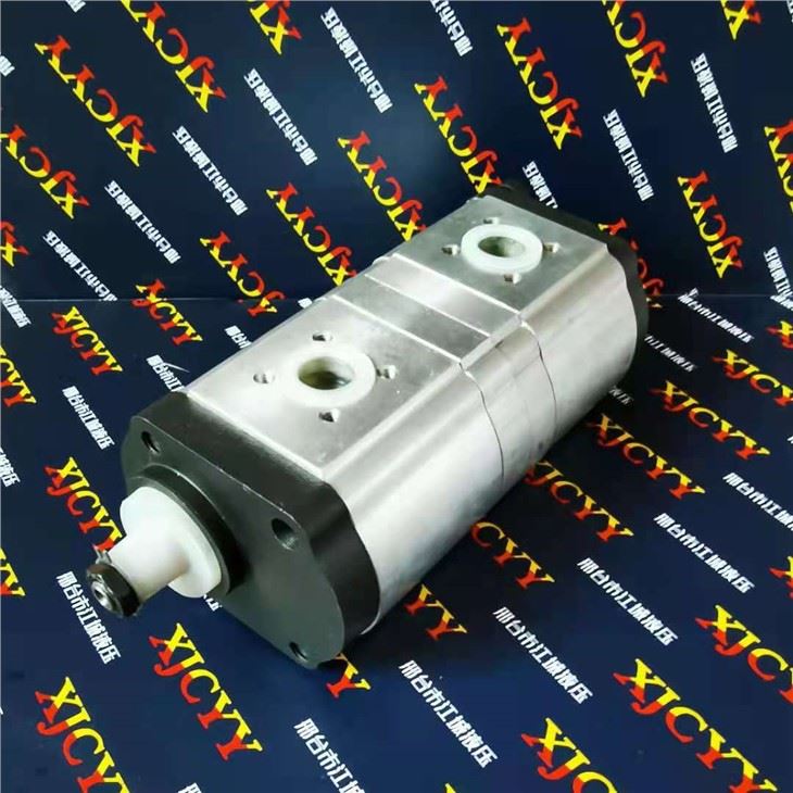 CASE IH Pump 0510465321