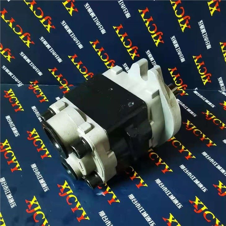 HELI Forklift Pump H24C7-10011
