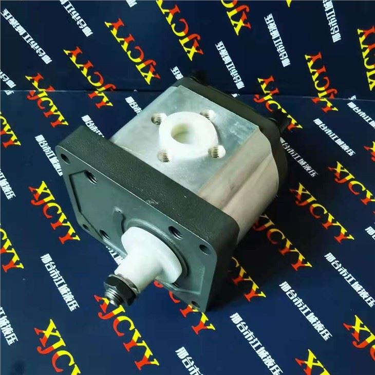 Hydraulic Gear Pump for Massey Ferguson