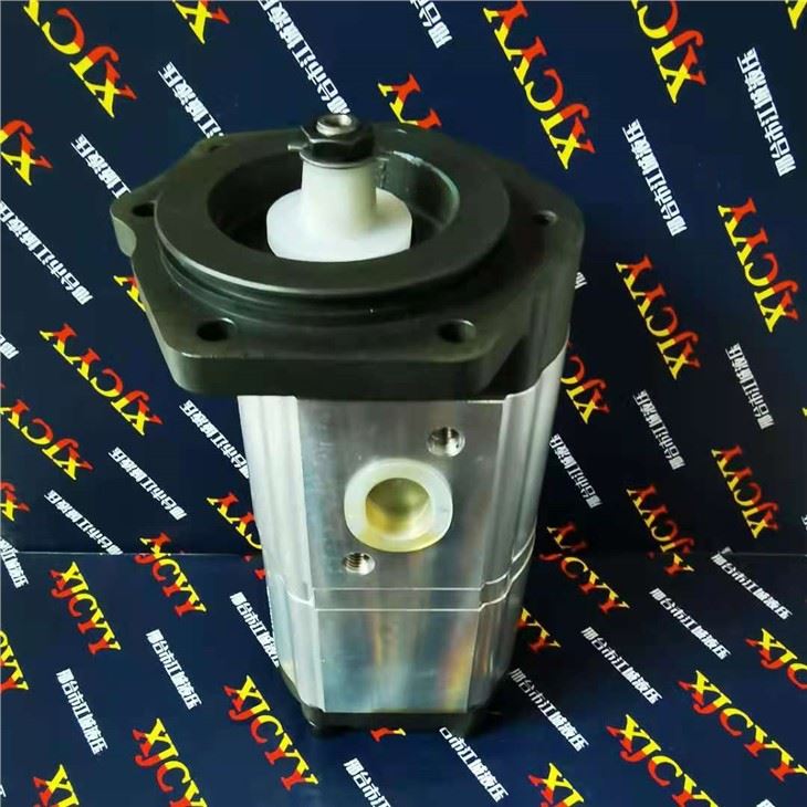 Hydraulic Pump for KIOTI